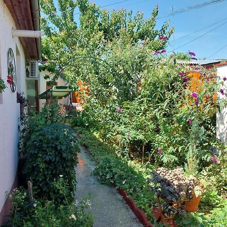 הוילה טולצ'אה Casa Calin מראה חיצוני תמונה