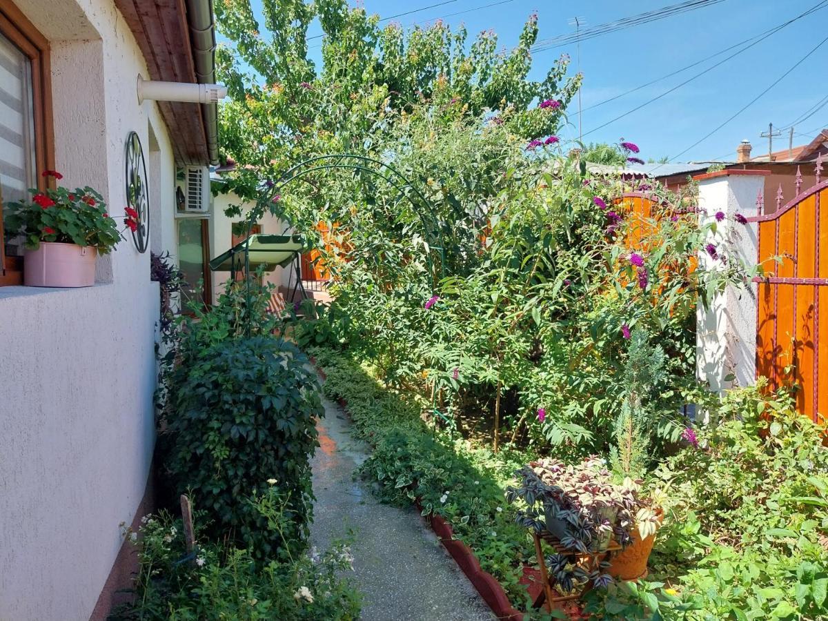הוילה טולצ'אה Casa Calin מראה חיצוני תמונה